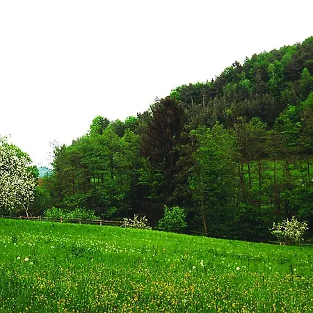 Waldfrieden Couette-café Lassnitzhoehe