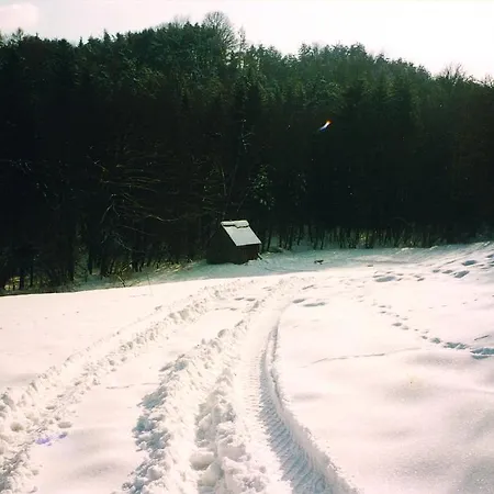 Waldfrieden 3*