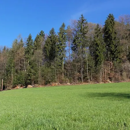 Waldfrieden 3* Lassnitzhoehe