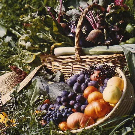 Bed and breakfast Waldfrieden 3*