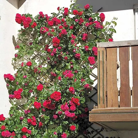 Waldfrieden Bed & Breakfast Lassnitzhoehe