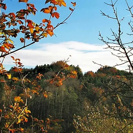 Bed & Breakfast Waldfrieden Lassnitzhoehe