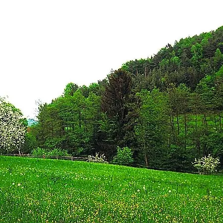 Waldfrieden Bed & Breakfast 3*
