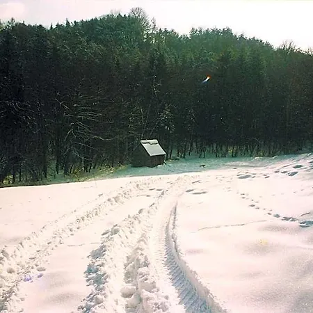 Bed & Breakfast Waldfrieden 3*