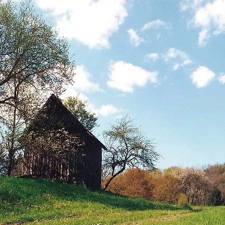 Waldfrieden Bed & Breakfast