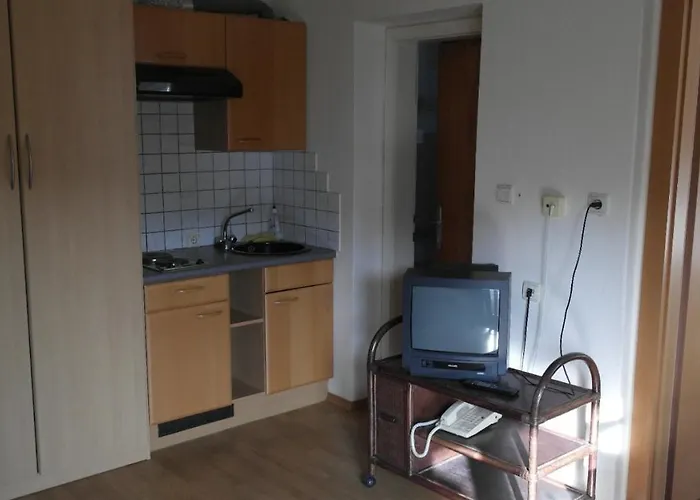 兰德豪斯瓦德费登住宿加早餐旅馆 3* 拉斯尼茨霍