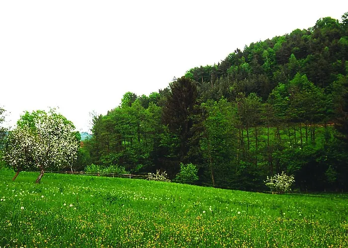 Waldfrieden Nocleg ze śniadaniem Lassnitzhoehe