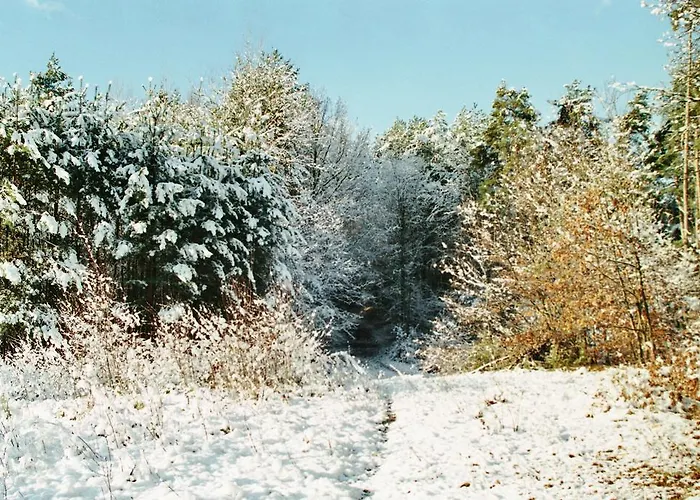 Waldfrieden 3* Lassnitzhoehe