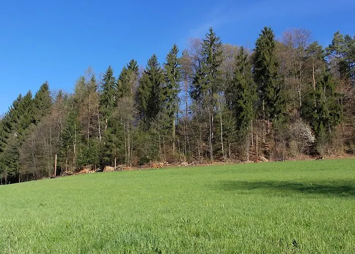 Waldfrieden 3* Lassnitzhoehe