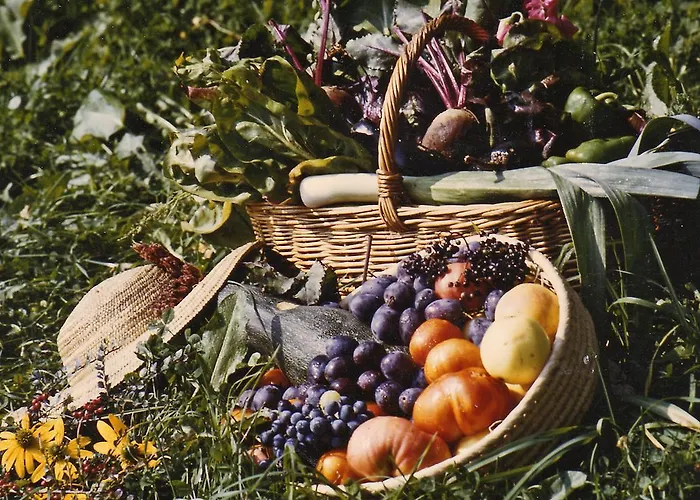 住宿加早餐酒店 兰德豪斯瓦德费登住宿加早餐旅馆 3*