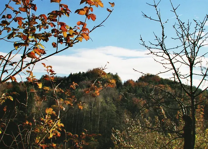 Waldfrieden Nocleg ze śniadaniem