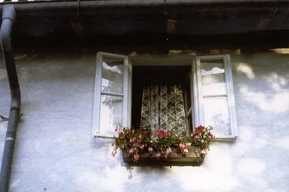 住宿加早餐酒店 兰德豪斯瓦德费登住宿加早餐旅馆