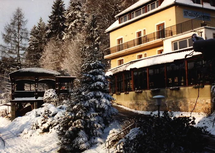 Nocleg ze śniadaniem Waldfrieden 3*